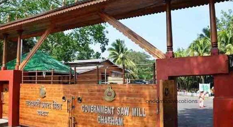 Chatham saw mill