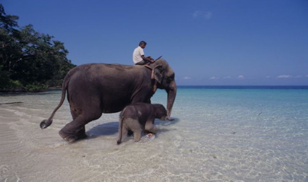Port Blair to Havelock & Neil Ferry Guide